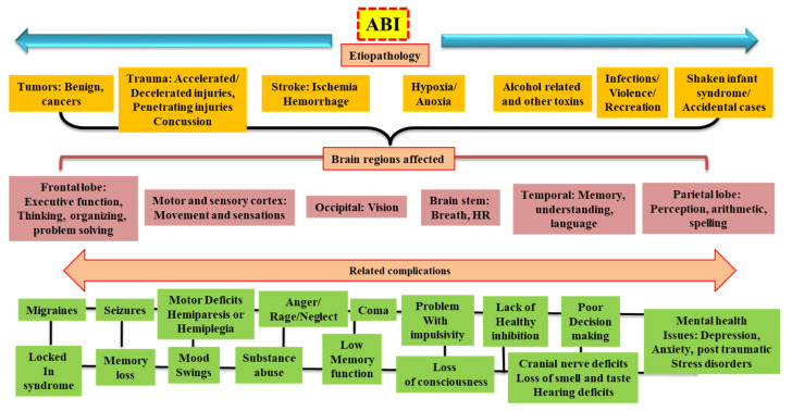 ABI, TBI, Non-TBI, Stroke: So What Goes Into Which Category?